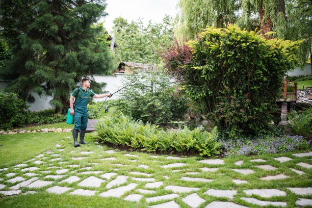 Best Pest Prevention Services  in Florence, KY